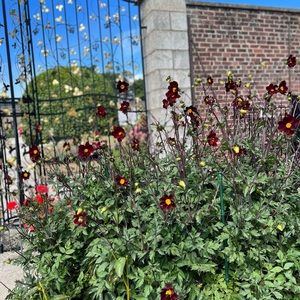 Meet your Posher, Kristin